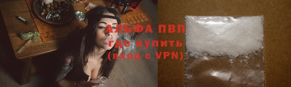 индика Абдулино