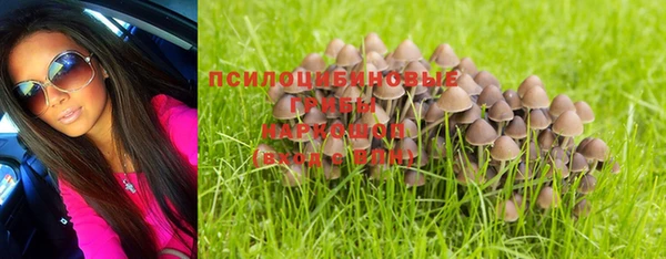 каннабис Абаза