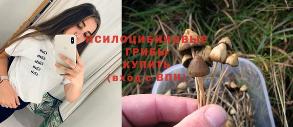 гидропоника Абинск