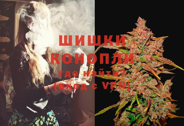 индика Абдулино