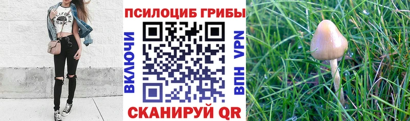 Галлюциногенные грибы GOLDEN TEACHER это какой сайт Воронеж